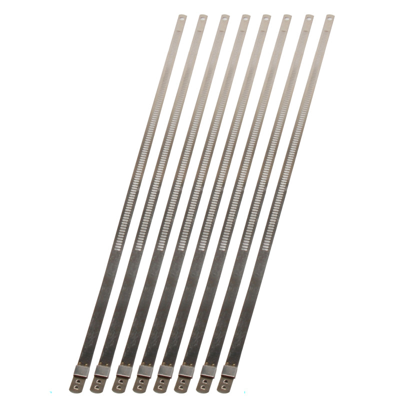 DEI Stainless Steel Positive Locking Tie 1/4in (7mm) x 9in - 8 per pack - awdtuningtx