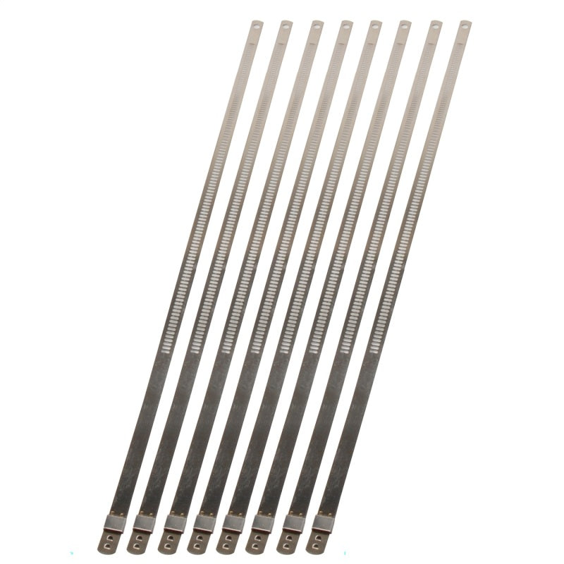 DEI Stainless Steel Positive Locking Tie 1/4in (7mm) x 9in - 8 per pack - awdtuningtx