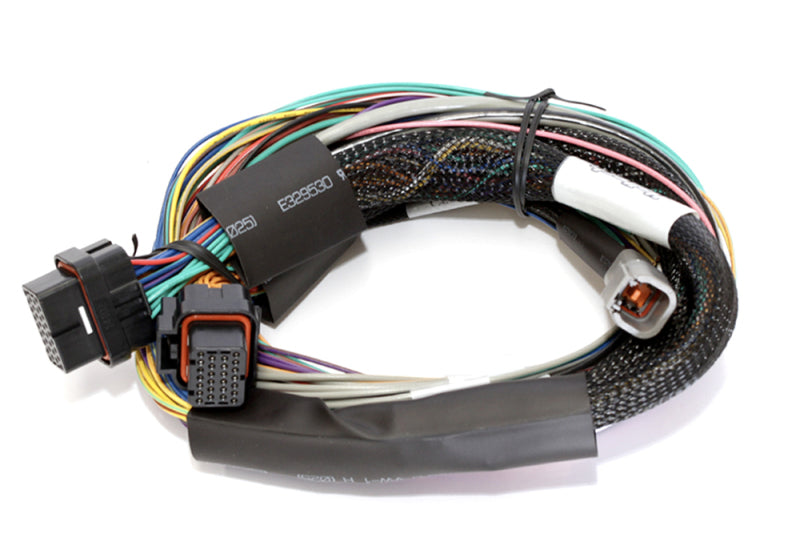 Haltech Elite 2500 8ft Basic Universal Wire-In Harness (Excl Relays or Fuses) - awdtuningtx