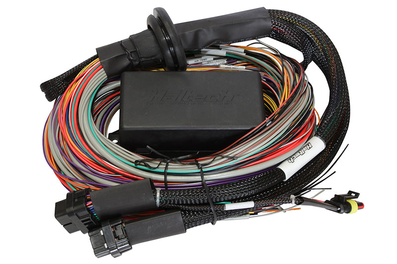 Haltech Elite 1500 8ft Premium Universal Wire-In Harness - awdtuningtx