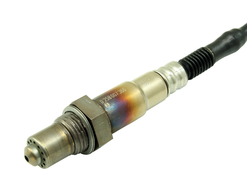 AEM Bosch UEGO Replacement Sensor - awdtuningtx