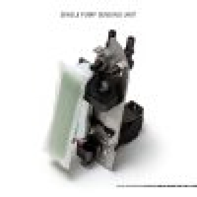 AMS Performance 2009+ Nissan GT-R R35 Omega Fuel System - Dual Pumps - awdtuningtx