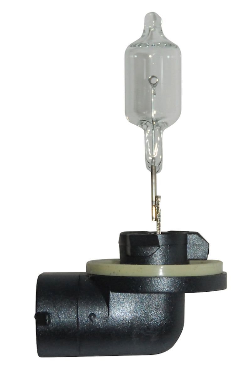 Hella Bulb 888 12V 50W PGJ13 T3.25 - awdtuningtx