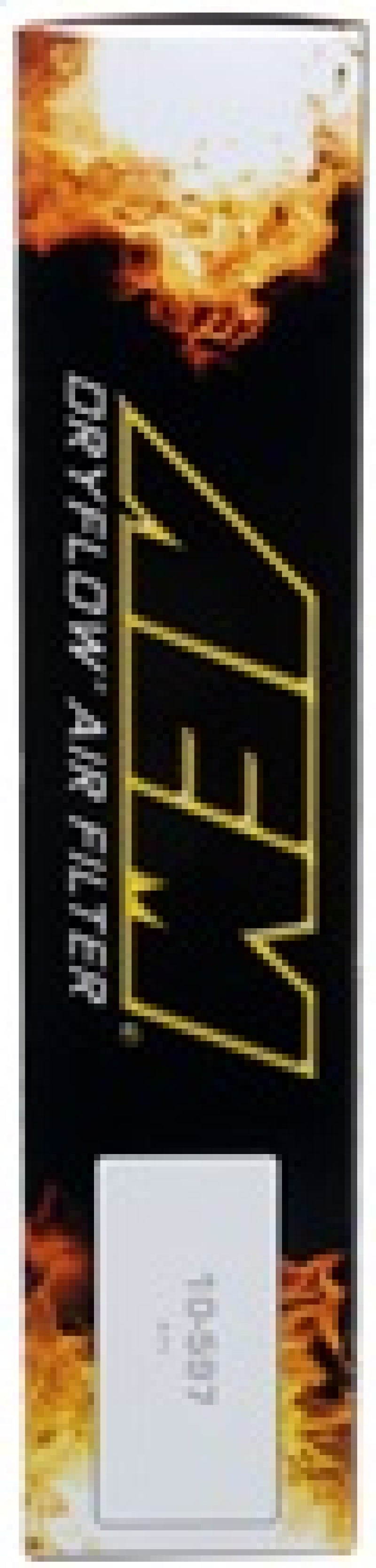 AEM 16-17 Honda Pilot V6-3.5L F/l DryFlow Air Filter - awdtuningtx