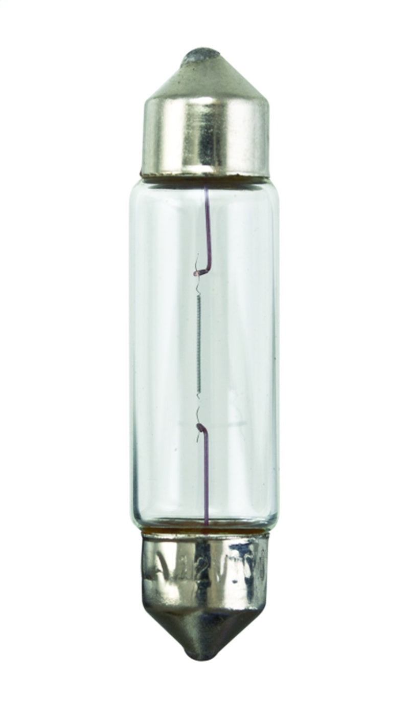 Hella Universal Clear 12V 10W 10x41mm T3.25 Bulb - awdtuningtx