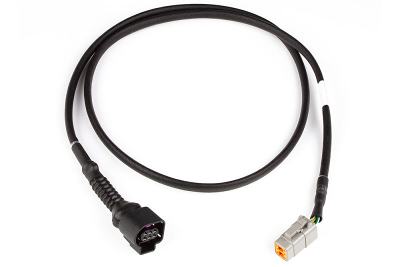 Haltech LSU4.9 Wideband Adaptor Harness LSU4.9 to DTM6 - awdtuningtx
