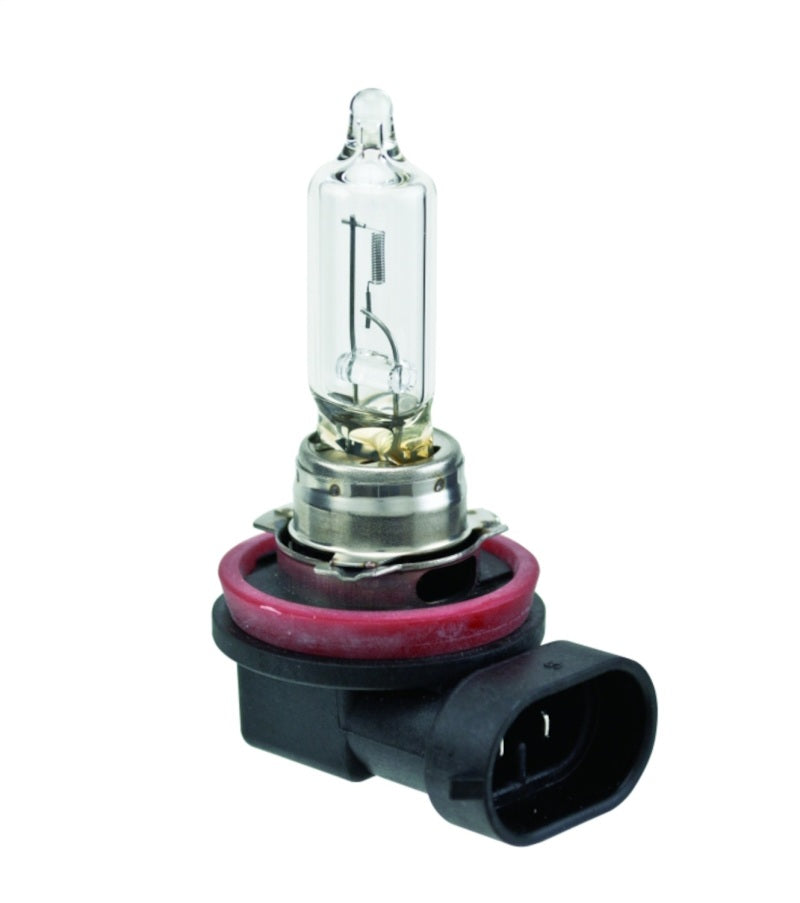 Hella Bulb H9 12V 65W PGJ19-5 T4 - awdtuningtx