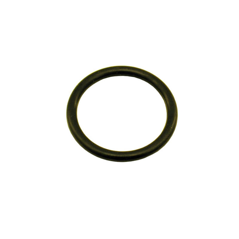 Nitrous Express 1-1/8 O-Ring (Fits 5lb/10lb/12lb/15lb Bottle Valve) - awdtuningtx