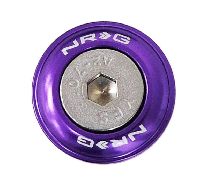 NRG Fender Washer Kit w/Rivets For Plastic (Purple) - Set of 10 - awdtuningtx