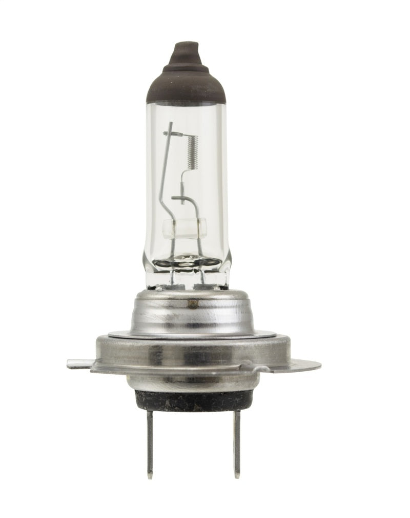 Hella Bulb H7 12V 70W PX26d T4.625 - awdtuningtx