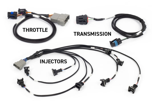 Haltech NEXUS Rebel LS Kit (Suits Gen III) Cable Throttle/EV1 Injectors/Manual Transmission - awdtuningtx