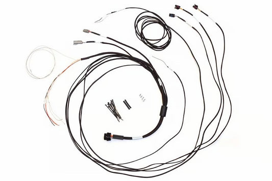 Haltech Semi Terminated Harness for IC-7 Display Dash - awdtuningtx