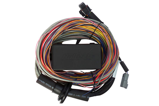 Haltech Elite 750 8ft Premium Universal Wire-In Harness - awdtuningtx