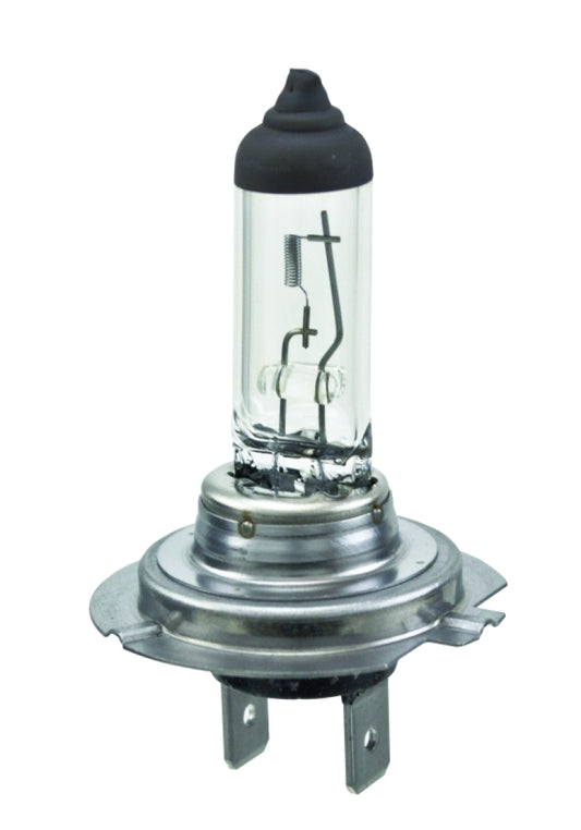 Hella Halogen H7 Bulb - awdtuningtx