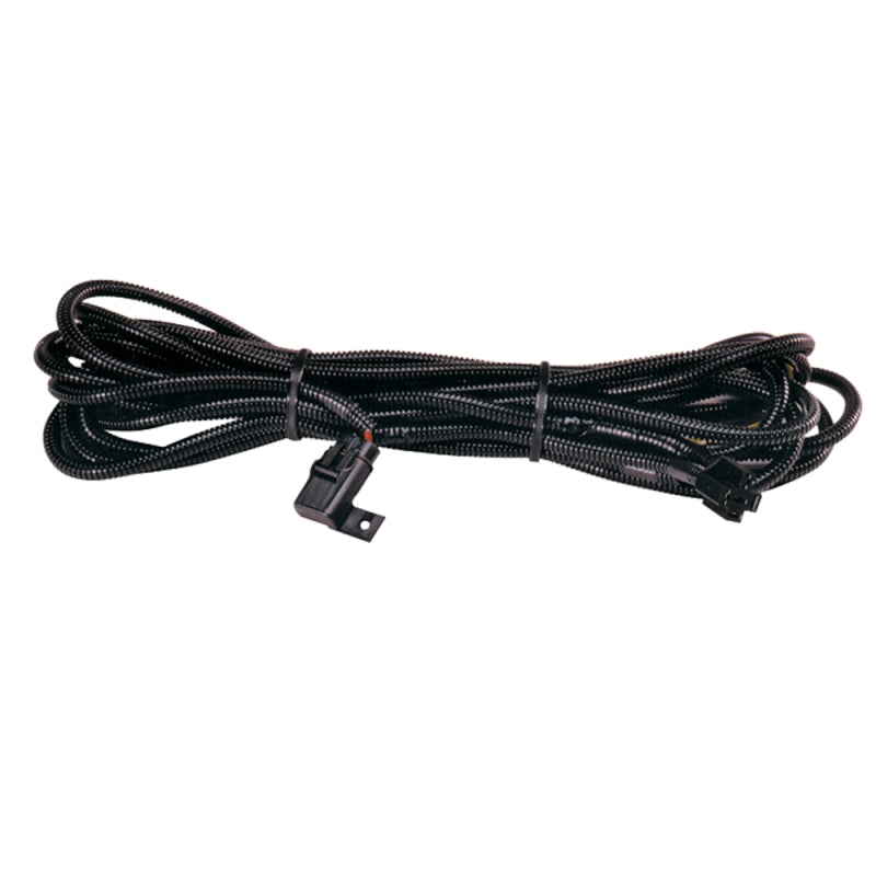Hella High Performance Halogen Wiring Harness - awdtuningtx