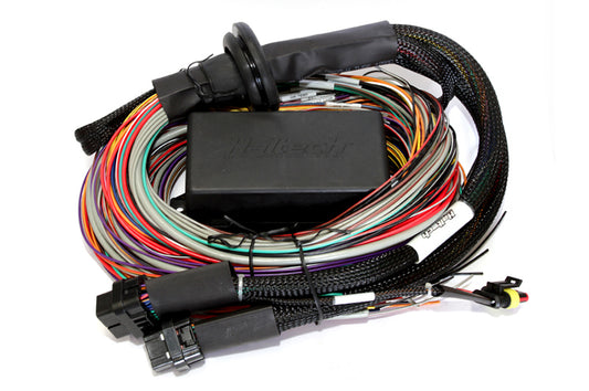 Haltech Elite 2500 & 2500 T 8ft Premium Universal Wire-In Harness - awdtuningtx