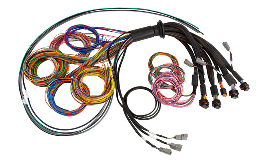 Haltech NEXUS R5 Universal Wire-In Harness - 2.5M (8ft) - awdtuningtx