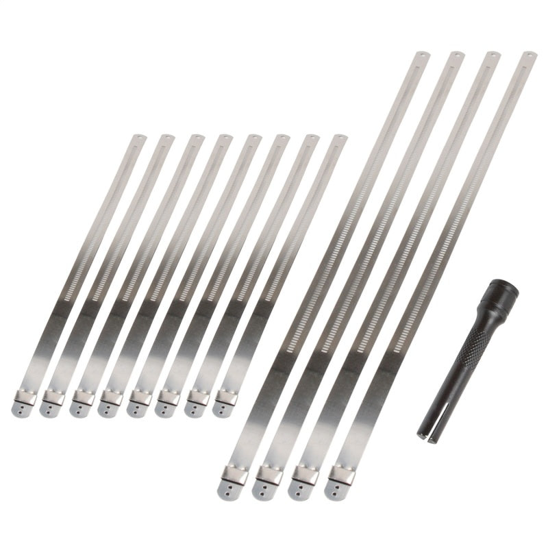 DEI Stainless Steel Positive Locking Tie & Tool Kit - 8in (8 Pack) & 14in (4 Pack) - awdtuningtx