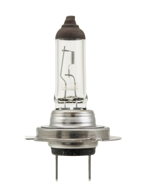 Hella Bulb H7 12V 70W PX26d T4.625 - awdtuningtx