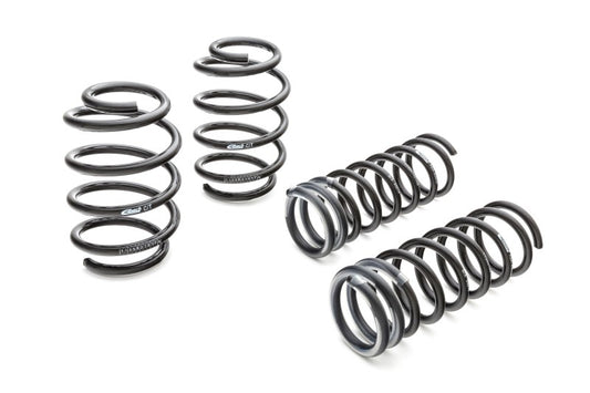 Eibach Pro-Kit 66-76 BMW 2002 - awdtuningtx