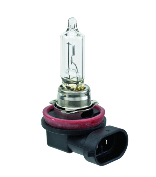 Hella Bulb H9 12V 65W PGJ19-5 T4 - awdtuningtx