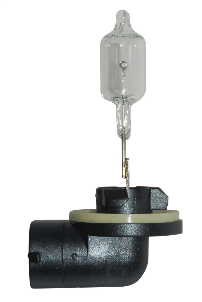 Hella Bulb 888 12V 50W PGJ13 T3.25 - awdtuningtx
