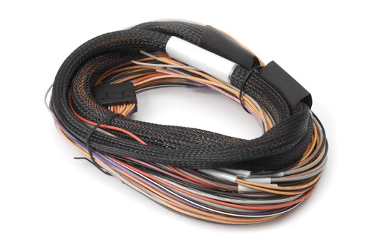Haltech IO 12 Expander Box 8ft Flying Lead Harness (A/B Box) - awdtuningtx